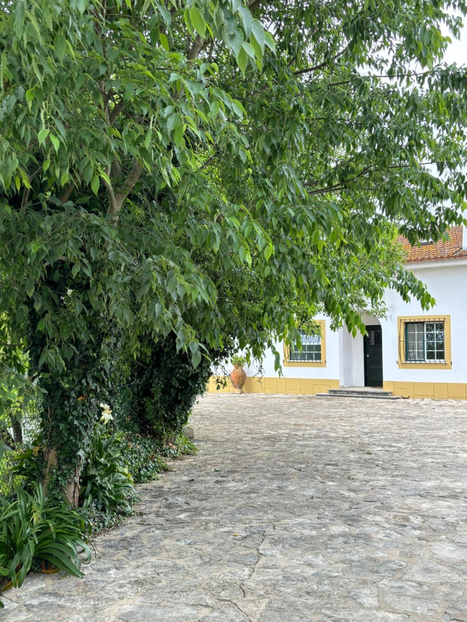 Willa Casa Da Nogueira Tomar Zewnętrze zdjęcie